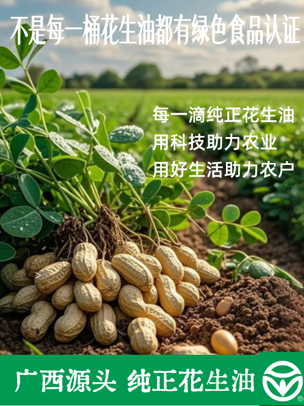 文章插图